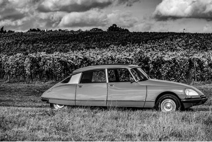 Citroen DS Gebrauchtwagen