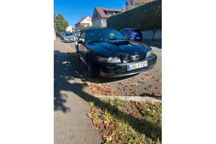 Ford Mustang Gebrauchtwagen