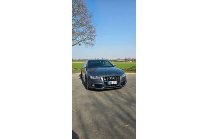 Audi S5 Gebrauchtwagen