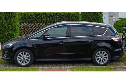 Ford S-Max Gebrauchtwagen