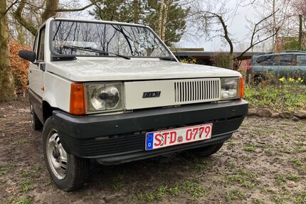 Fiat Panda Gebrauchtwagen