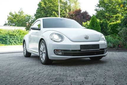 VW Beetle Gebrauchtwagen