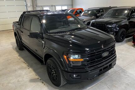 Ford F 150 Gebrauchtwagen