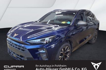 Cupra Terramar Gebrauchtwagen