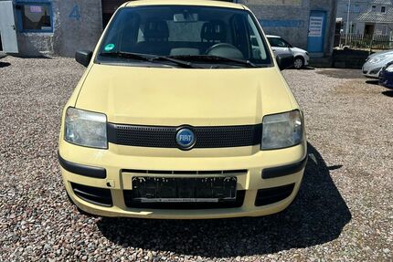 Fiat New Panda Gebrauchtwagen