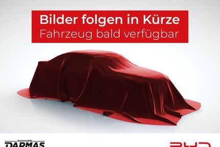 BYD DOLPHIN Gebrauchtwagen