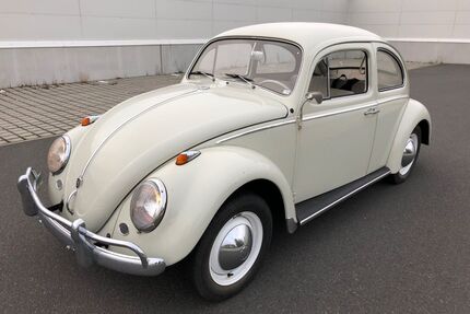 VW Käfer Gebrauchtwagen