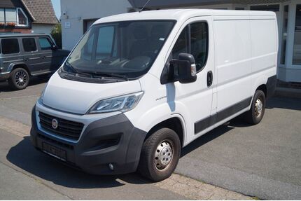 Fiat Ducato Gebrauchtwagen