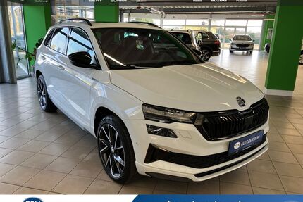 Skoda Karoq Gebrauchtwagen