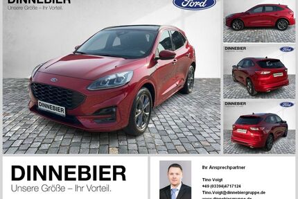 Ford Kuga Gebrauchtwagen