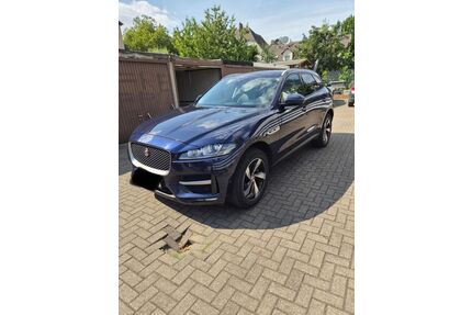 Jaguar F-Pace Gebrauchtwagen