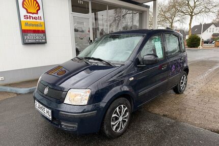 Fiat Panda Gebrauchtwagen