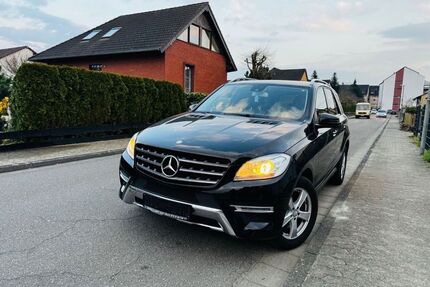 Mercedes-Benz ML 250 Gebrauchtwagen