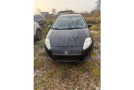 Fiat Punto Gebrauchtwagen