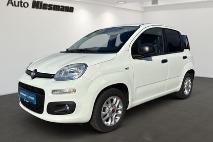 Fiat Panda Gebrauchtwagen