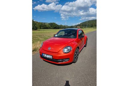 VW Beetle Gebrauchtwagen