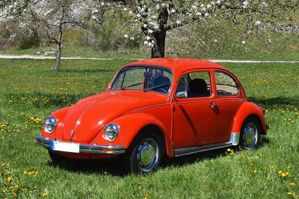 VW Käfer Gebrauchtwagen