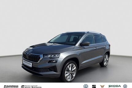Skoda Karoq Gebrauchtwagen