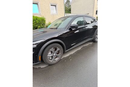Ford Mustang Mach-E Gebrauchtwagen