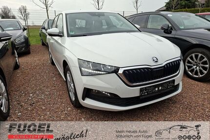 Skoda Scala Gebrauchtwagen