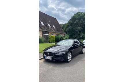 Jaguar XE Gebrauchtwagen