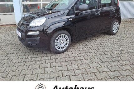 Fiat Panda Gebrauchtwagen