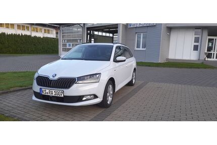 Skoda Fabia Gebrauchtwagen
