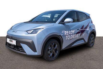 BYD DOLPHIN Gebrauchtwagen