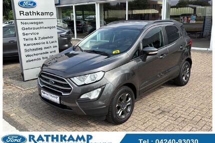 Ford EcoSport Gebrauchtwagen