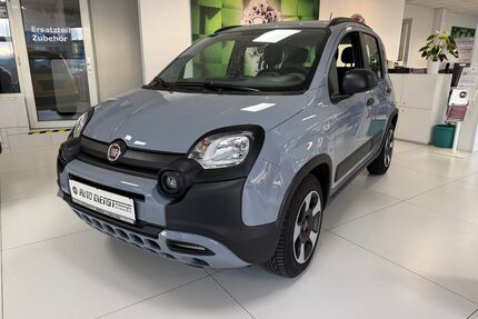 Fiat Panda Gebrauchtwagen
