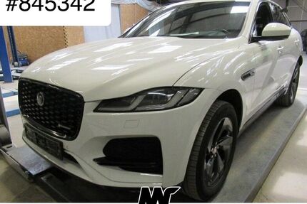 Jaguar F-Pace Gebrauchtwagen