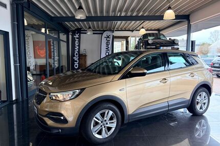 Opel Grandland (X) Gebrauchtwagen