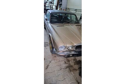 Jaguar Daimler Gebrauchtwagen