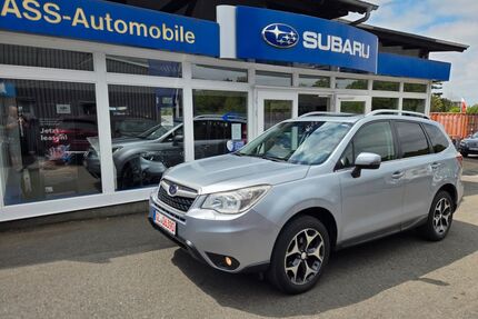 Subaru Forester Gebrauchtwagen