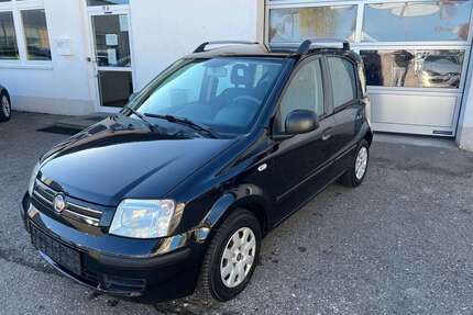 Fiat Panda Gebrauchtwagen