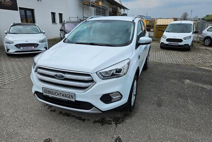 Ford Kuga Gebrauchtwagen