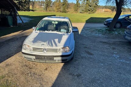 VW Golf Gebrauchtwagen