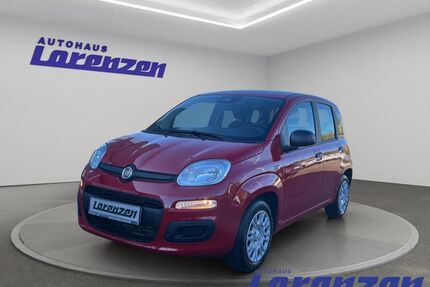 Fiat Panda Gebrauchtwagen