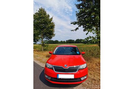 Skoda Rapid Gebrauchtwagen