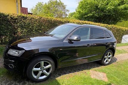 Audi Q5 Gebrauchtwagen
