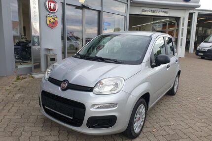 Fiat Panda Gebrauchtwagen