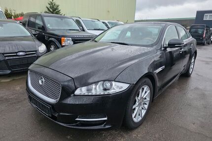 Jaguar XJ Gebrauchtwagen