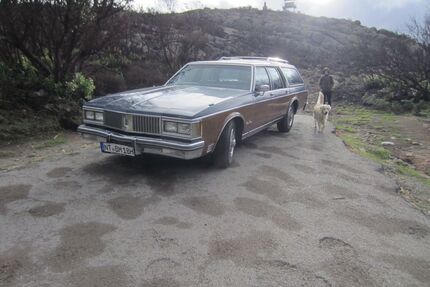 Oldsmobile Custom Cruiser Gebrauchtwagen