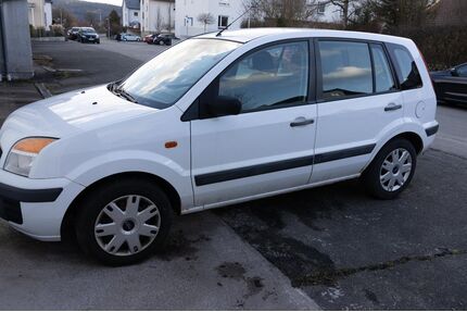 Ford Fusion Gebrauchtwagen