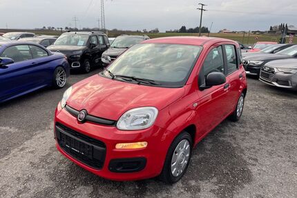 Fiat Panda Gebrauchtwagen