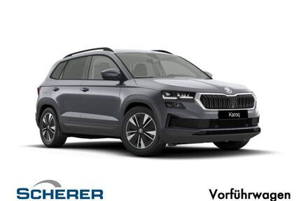 Skoda Karoq Gebrauchtwagen