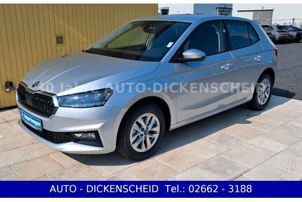 Skoda Fabia Gebrauchtwagen