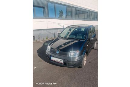 Fiat Panda Gebrauchtwagen