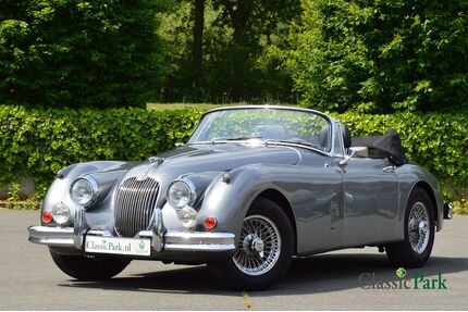 Jaguar XK Gebrauchtwagen