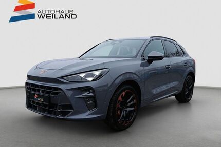 Cupra Terramar Gebrauchtwagen